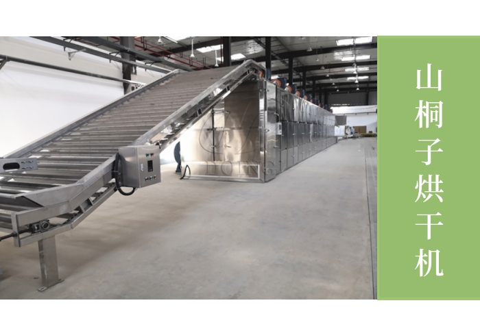 山桐子烘干机.jpg