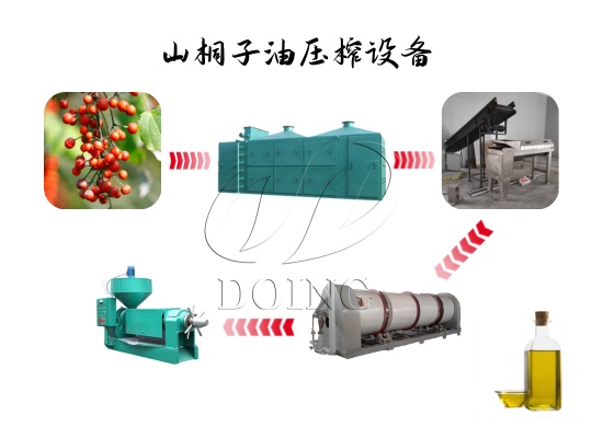 山桐子油压榨设备