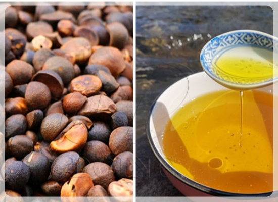 加工茶籽油需要购入哪些设备？