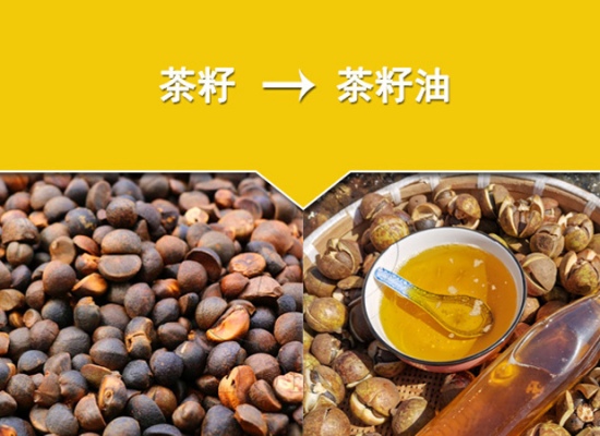 山茶籽油加工生产线的价格与哪些因素有关?