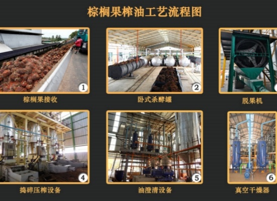棕榈油压榨设备怎么选：从单台设备到全自动产线，一文读懂6种常见棕榈油压榨生产线！