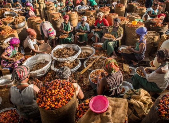 沉浸式体验：带你看非洲传统手工工艺，如何制作棕榈油？