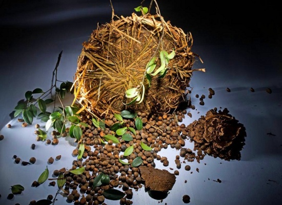 想要加工茶籽油，需要购入哪些设备？