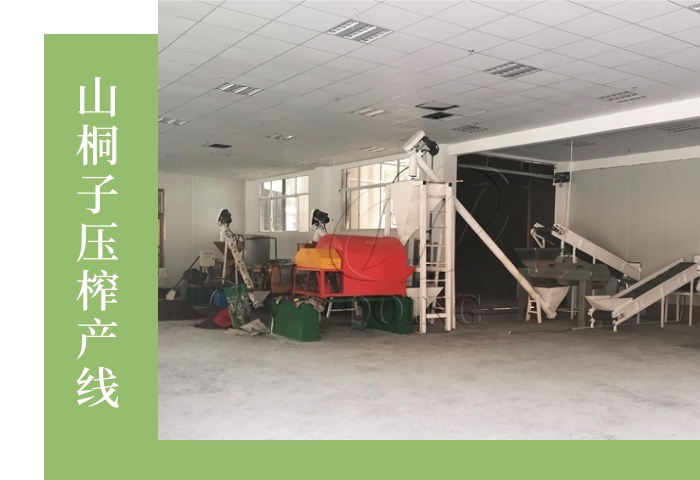 山桐子压榨产线