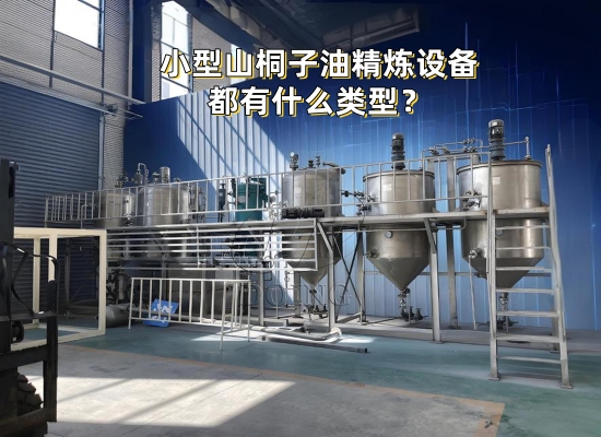 小型山桐子油精炼设备都有哪种类型？