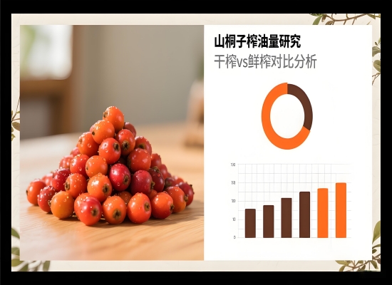 1吨山桐子鲜果能榨多少油？干榨与鲜榨出油量对比