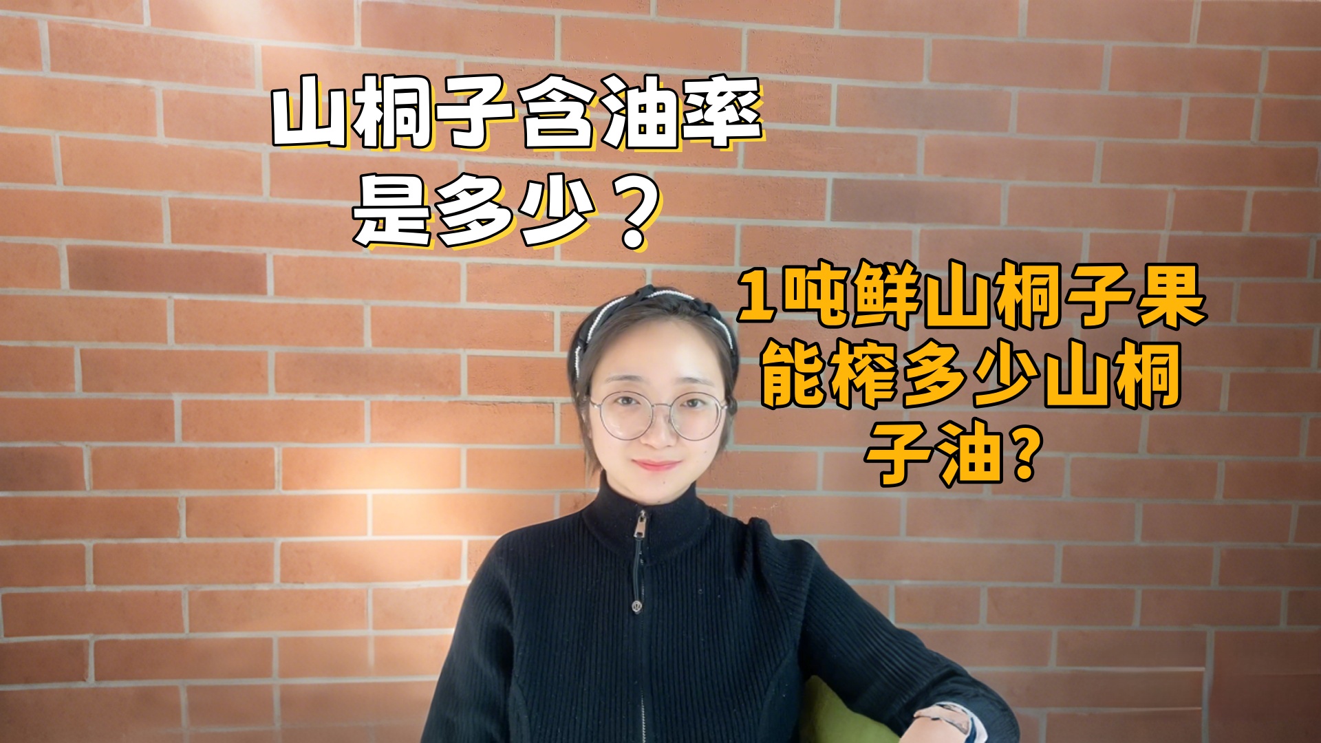 1吨山桐子鲜果能榨多少油？干榨与鲜榨出油量对比