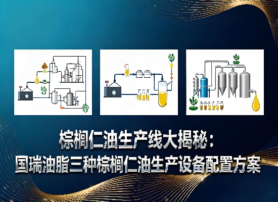 棕榈仁油生产线大揭秘：国瑞油脂三种棕榈仁油生产设备配置方案