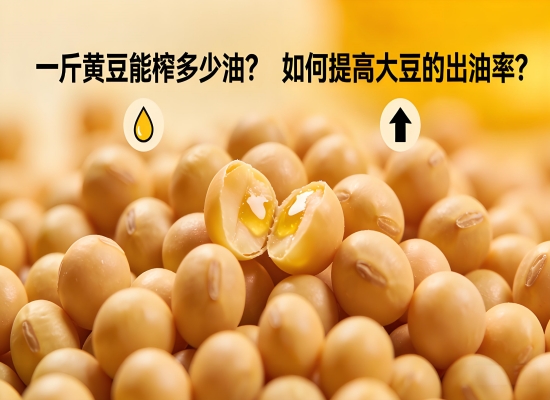 一斤黄豆能榨多少油？如何提高大豆的出油率？