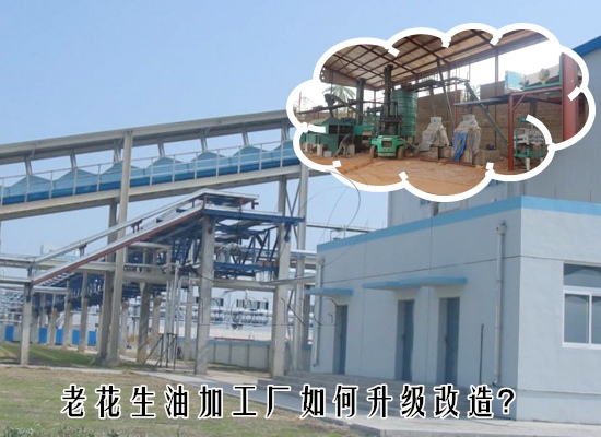 老花生油加工厂如何升级改造？