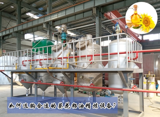 如何选购合适的葵花籽油精炼设备？