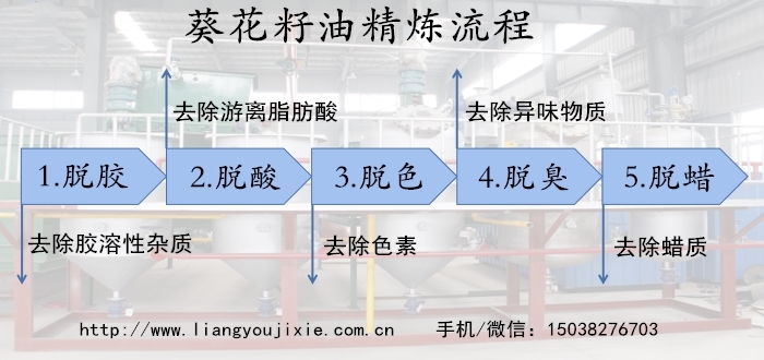 葵花籽油精炼流程