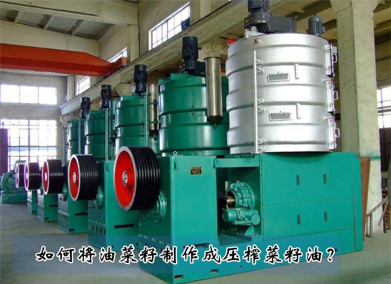 如何将油菜籽制作成压榨菜籽油？压榨菜籽油制作流程是什么？