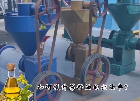 如何提升菜籽油的出油率？