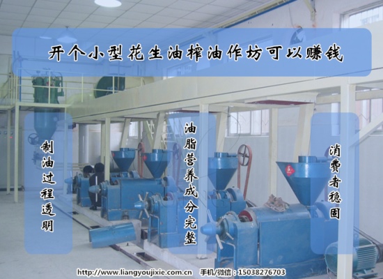 开个小型花生油榨油作坊赚钱吗？利润怎么样？