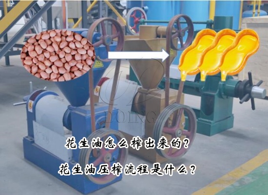 花生油怎么榨出来的？花生油压榨流程是什么？