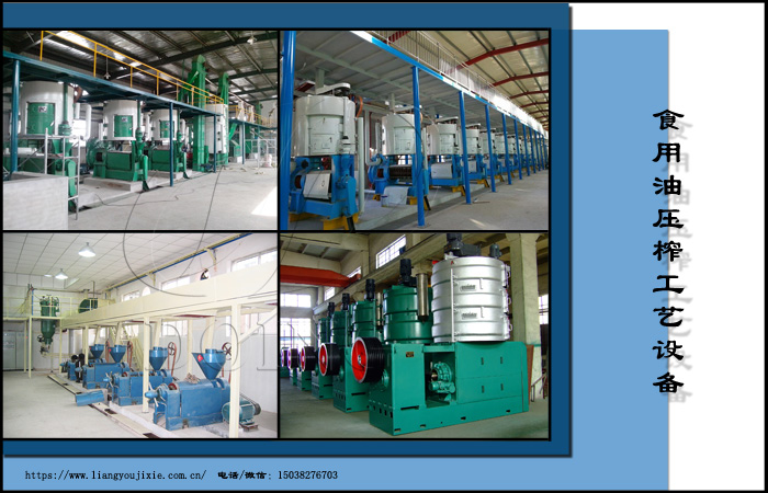 食用油压榨工艺设备