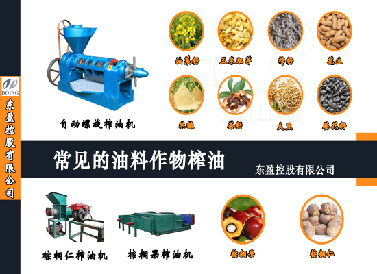 常见的油料作物有哪些？怎么榨油？