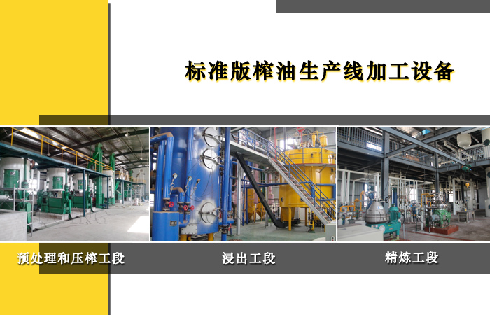 榨油生产线