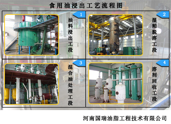 食用油浸出法详解，与传统压榨工艺的区别