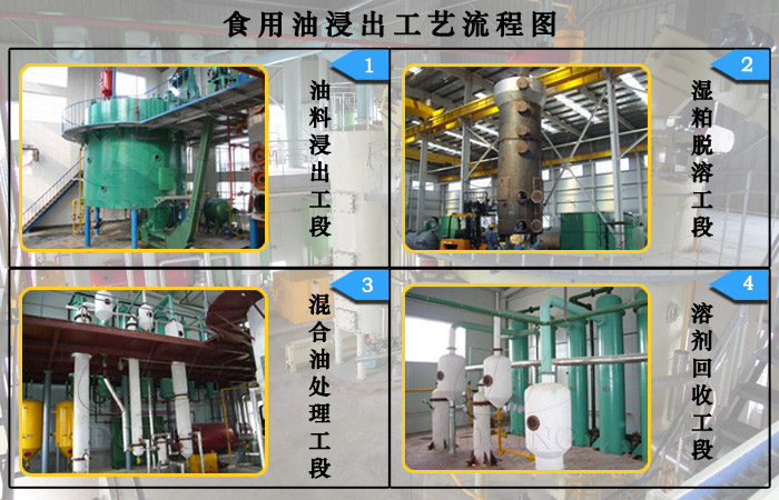食用油浸出工艺