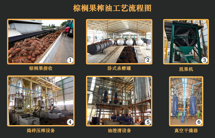 棕榈油榨油设备
