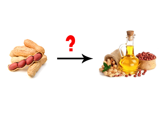 1吨花生可以压榨多少吨花生油？影响花生出油率的因素有哪些？