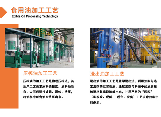 压榨油和浸出油有什么区别？国瑞带您了解。