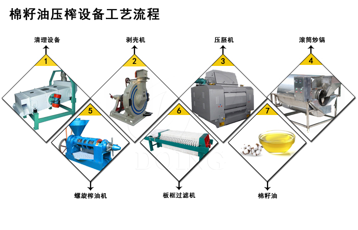 棉籽油压榨设备