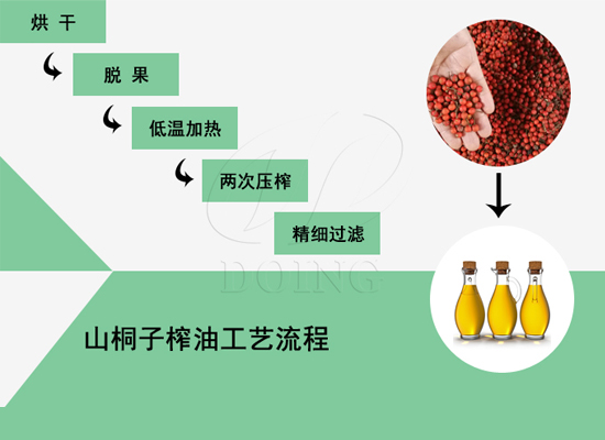 你知道吗？山桐子竟然也可以榨油，快来点击了解！
