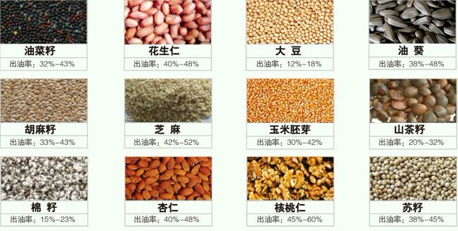 各种油料出油率
