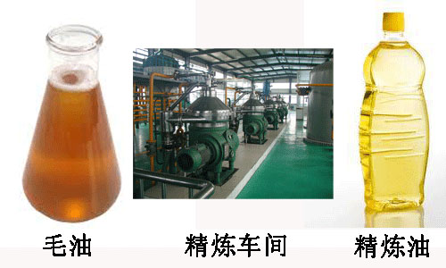 怎样分辨毛油和精炼油