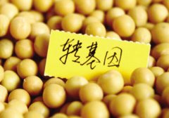 “致癌说”引爆食用油市场变局