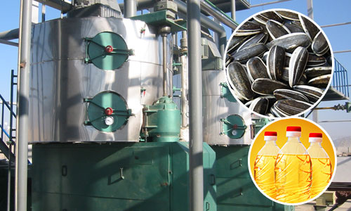 欧洲客户考察葵花籽压榨设备