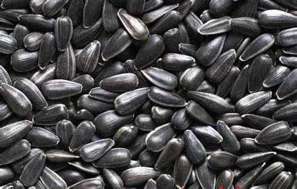 葵花籽油料介绍