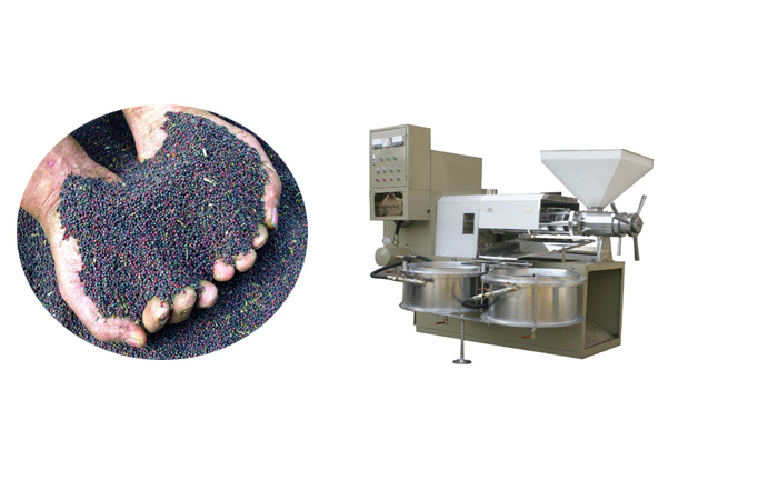 爽爽窝窝午夜精品一区二区