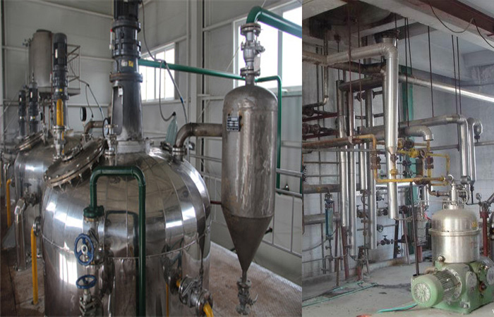 胡麻油精炼设备