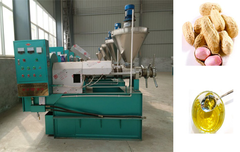 花生榨油机