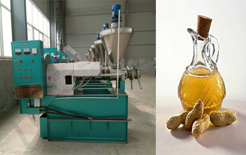 全自动花生榨油机