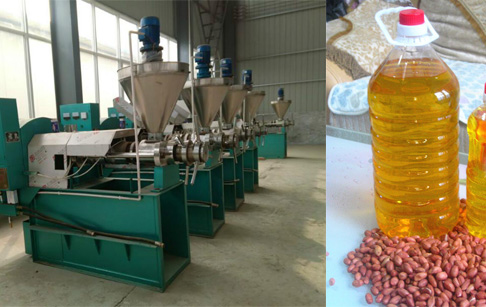 花生榨油机设备