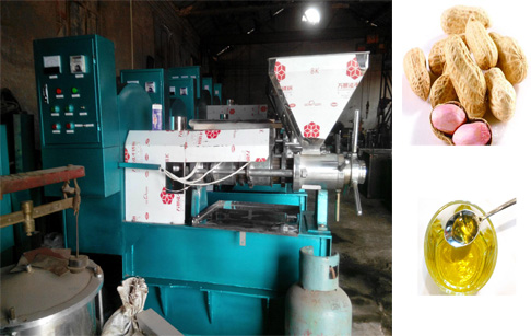 花生榨油机