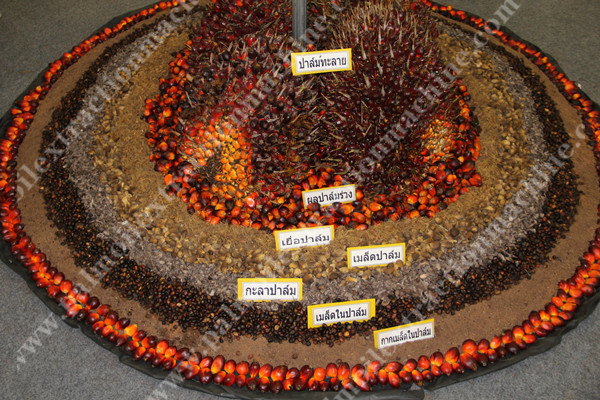 泰国农业机械展