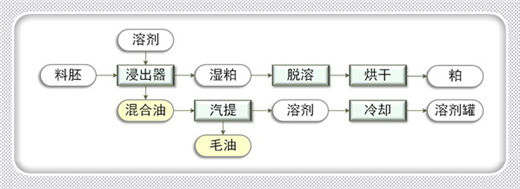 油脂浸出流程