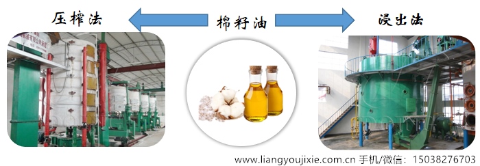 棉籽油生产设备