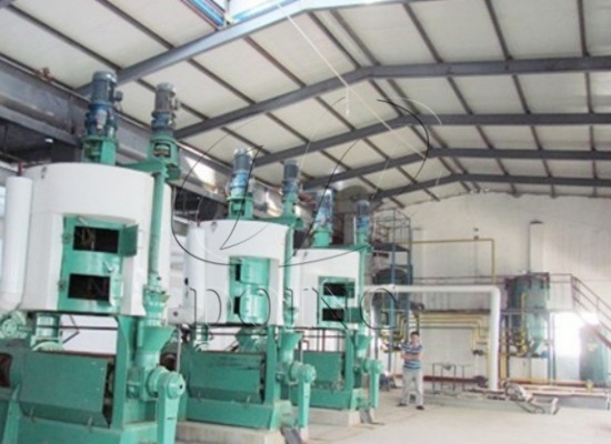 从一粒大豆到一滴好油：大豆油压榨产线详解