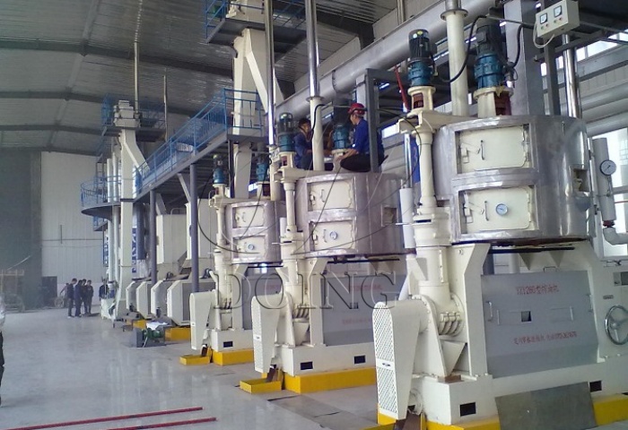 国瑞花生油榨油机